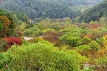 바회마을 여행 추천 - 메고지고