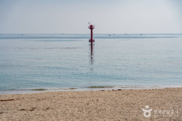 켄싱턴해변 여행 추천 - 메고지고
