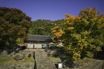 거북이마을 여행 추천 - 메고지고