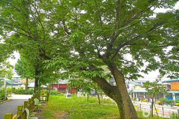 보흥사 여행 추천 - 메고지고
