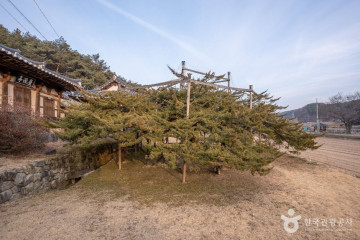유암서원 여행 추천 - 메고지고