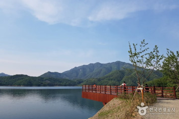 횡성자연휴양림 여행 추천 - 메고지고
