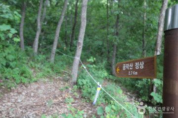 수타사계곡 여행 추천 - 메고지고
