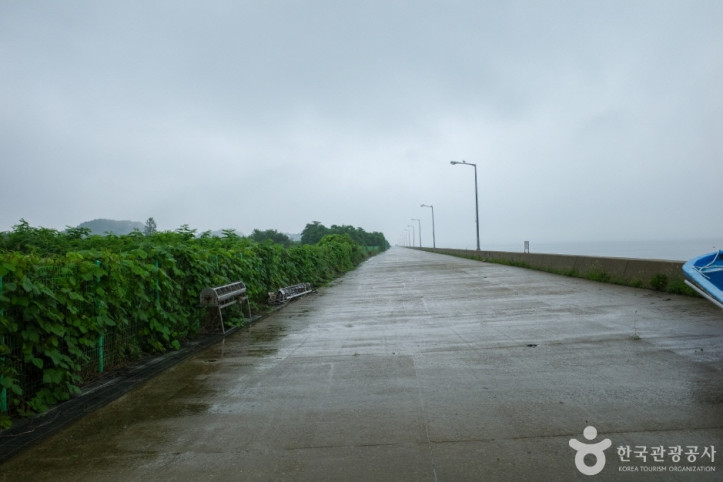 메추리섬 여행 추천 - 메고지고