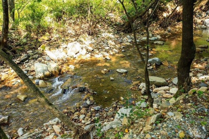 미약골 여행 추천 - 메고지고