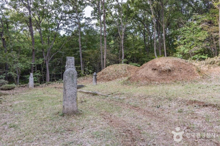 신선경과 류인호 묘역 여행 추천 - 메고지고