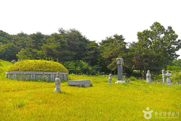 옥동연꽃방죽 여행 추천 - 메고지고