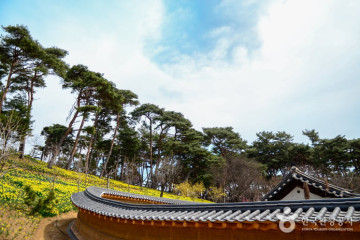 당진 안국사지 석탑 여행 추천 - 메고지고