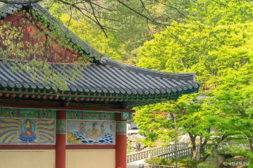 팔공산심천랜드 여행 추천 - 메고지고