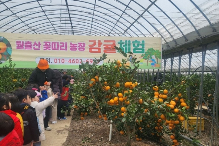 농업회사법인주식회사 월출산꽃따리농장 여행 추천 - 메고지고
