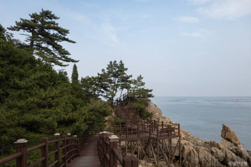 승봉산림욕장 여행 추천 - 메고지고