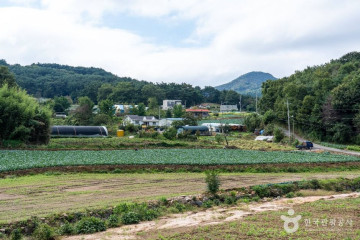 다울관광농원 여행 추천 - 메고지고