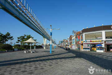 월미짱랜드 여행 추천 - 메고지고