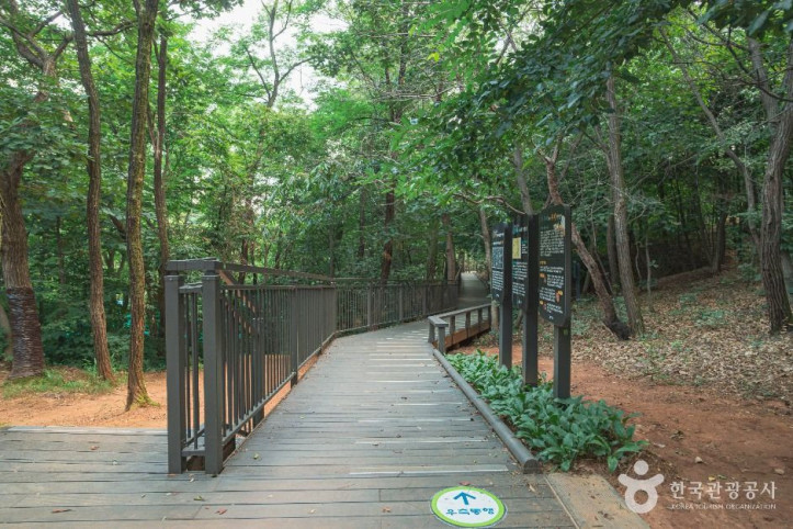 우장산공원 여행 추천 - 메고지고
