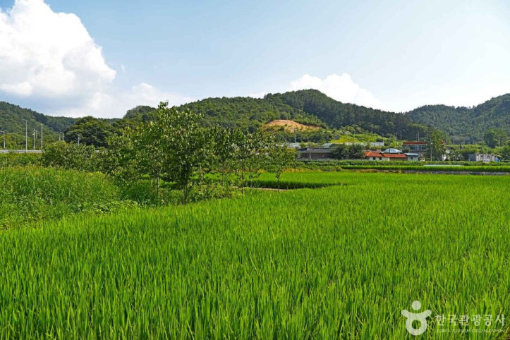 진안 배넘실마을 여행 추천 - 메고지고