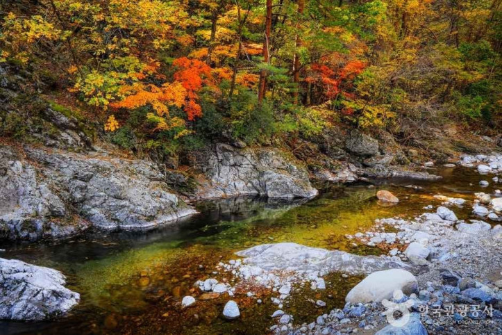미천골계곡 여행 추천 - 메고지고