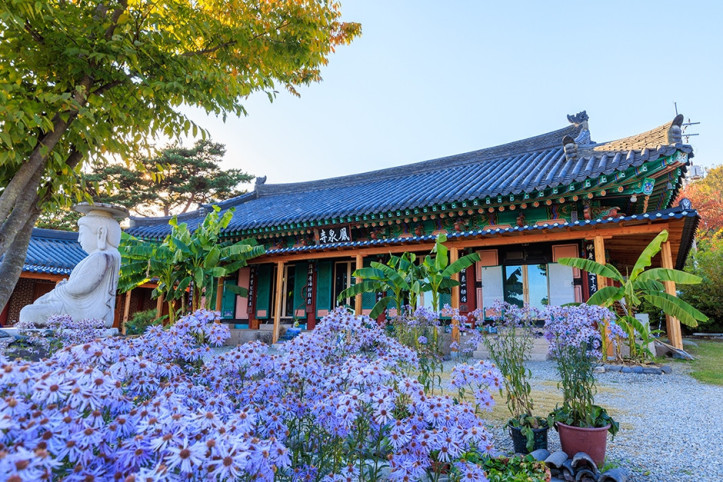 봉천사 여행 추천 - 메고지고