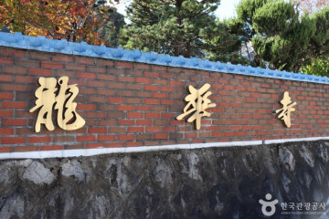구봉산(대전) 여행 추천 - 메고지고
