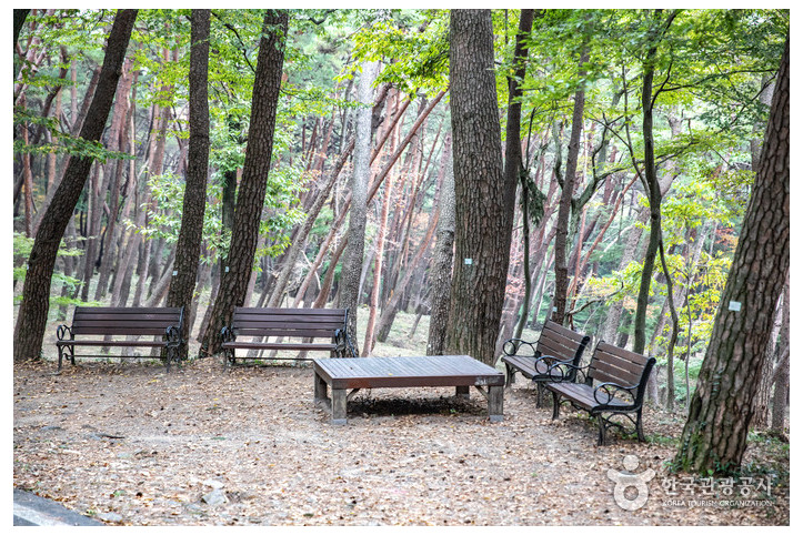 봉명산시립공원 여행 추천 - 메고지고