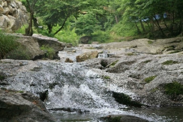 제암산자연휴양림 여행 추천 - 메고지고