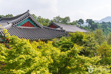 충주 창룡사 다층 청석탑 여행 추천 - 메고지고