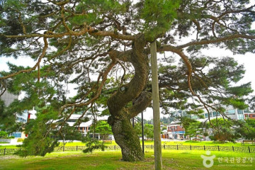 논개사당(의암사) 여행 추천 - 메고지고
