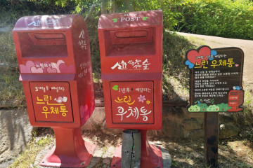 구미 금산리 떡버들나무 여행 추천 - 메고지고