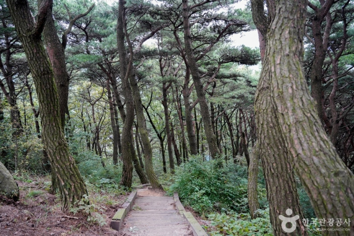 한티재 여행 추천 - 메고지고