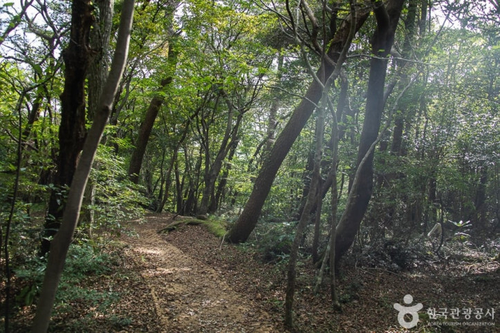 서귀포자연휴양림 여행 추천 - 메고지고