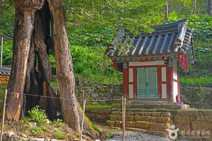 죽림암(임실) 여행 추천 - 메고지고