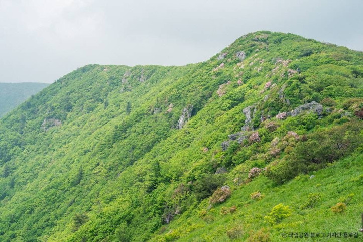 소백산국립공원(경북) 여행 추천 - 메고지고