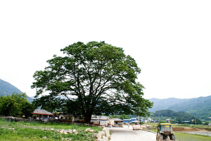 운리마을 여행 추천 - 메고지고