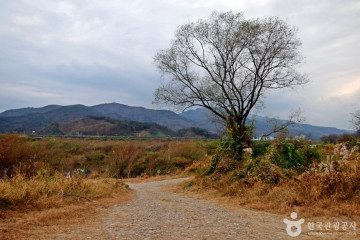 충주 봉황리 마애불상군 여행 추천 - 메고지고