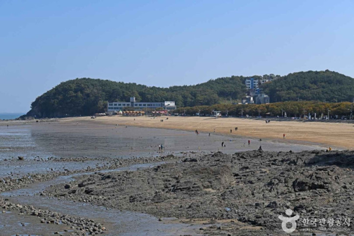 영흥도 십리포해변 여행 추천 - 메고지고