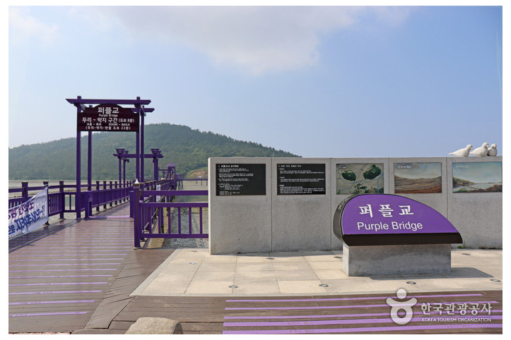 퍼플교 여행 추천 - 메고지고