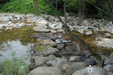 화천 산약초 마을 여행 추천 - 메고지고