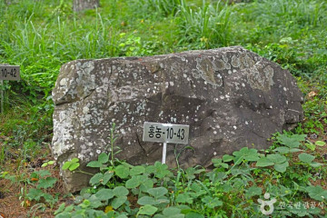 한마음공원 여행 추천 - 메고지고