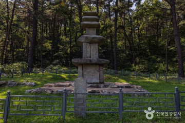 강화 고인돌 유적 [유네스코 세계유산] 여행 추천 - 메고지고