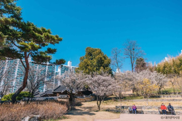 비래사 여행 추천 - 메고지고