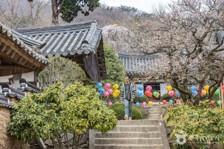 선암사 [유네스코 세계유산] 여행 추천 - 메고지고