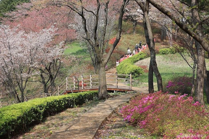 봉황산산림욕장 여행 추천 - 메고지고
