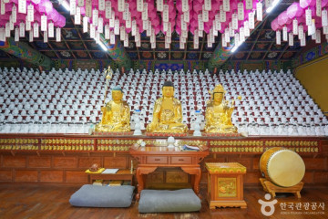연화사(진주) 여행 추천 - 메고지고
