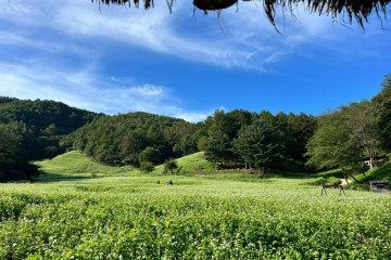 검암서원 여행 추천 - 메고지고