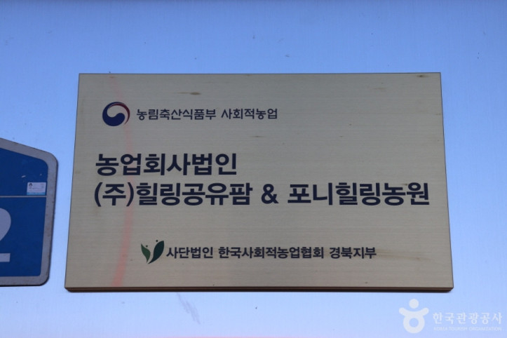포니힐링관광농원 여행 추천 - 메고지고