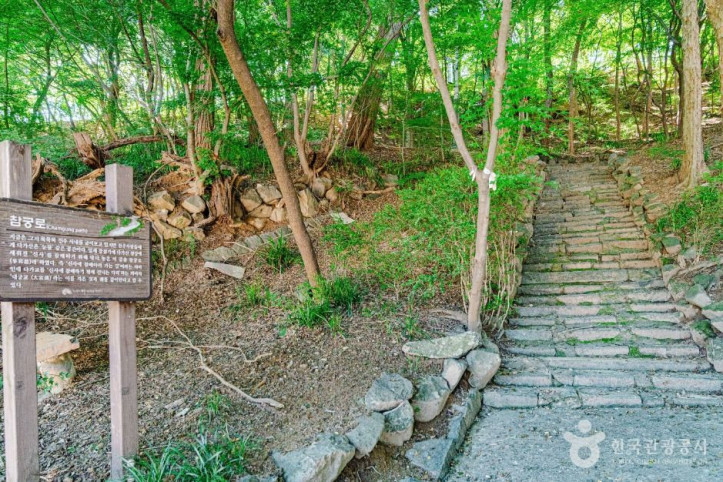 다가공원 여행 추천 - 메고지고