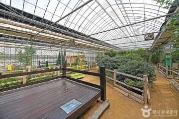 행복텃밭 여행 추천 - 메고지고