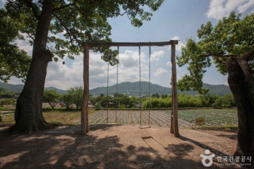 다라미자운영마을 여행 추천 - 메고지고