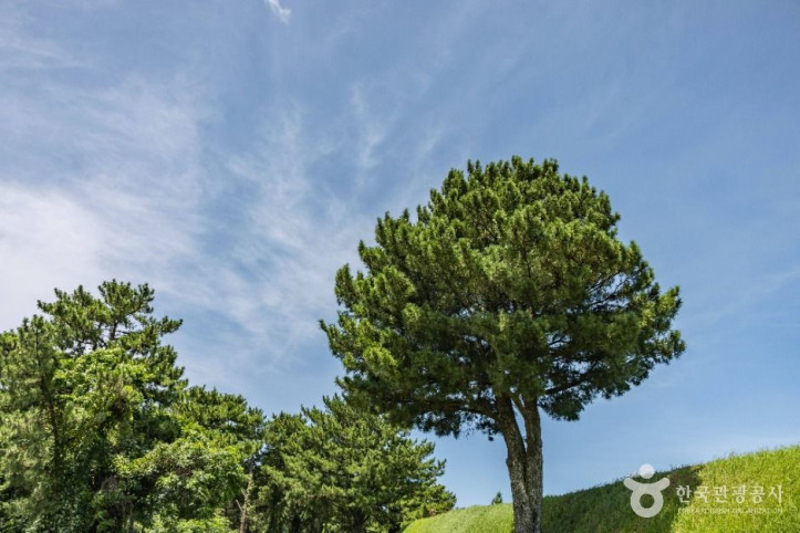 제주 항파두리 항몽 유적 여행 추천 - 메고지고