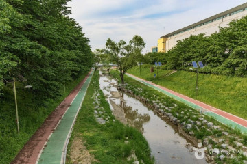매헌시민의 숲 여행 추천 - 메고지고