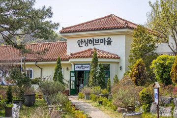 쌍미륵사와 기솔리석불입상 여행 추천 - 메고지고
